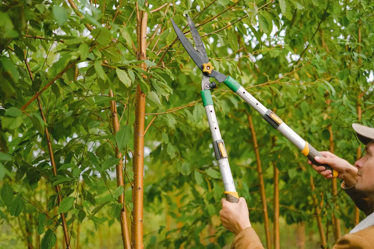 灌云广告服务市场观察:企业标识标牌制作需求呈现专业化趋势